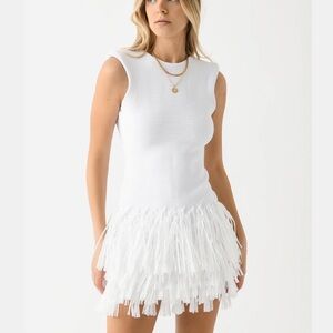 AJE Women's Rushes Raffia Knit Mini Dress (never worn)